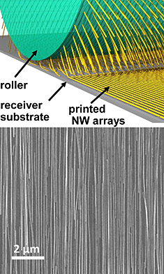 DRUM ROLL, PLEASE: Javey and his team of researchers developed a novel method of printing nanowire arrays by growing nanowires on a drum and rolling the drum on a sticky substrate to produce a well-aligned array. GRAPHIC COURTESY ALI JAVEY AND ZHIYOUNG FAN