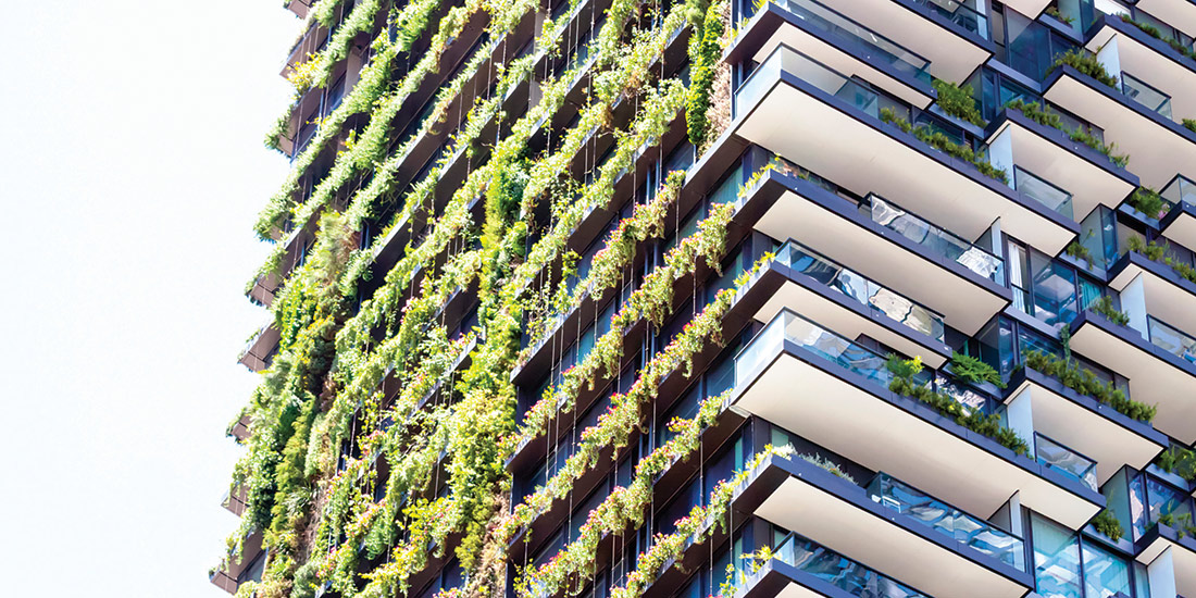 Plants growing on high-rise building