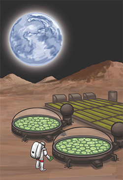 Synthetic bio on Mars