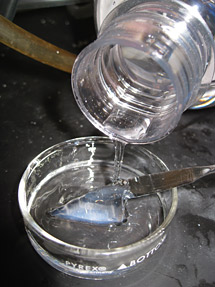 Synthetic hydrogel softens and becomes clear when cooled by water. 