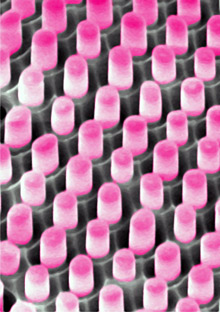 MAGIC CARPET: Single-crystalline nanopillar cells grown on aluminum substrate by Javey and his team, which can be rolled out like carpet for faster installation, could facilitate production of highly efficient solar cells. IMAGE COURTESY ALI JAVEY