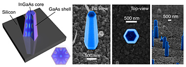 IN THE CHIPS: A schematic (left) and various scanning electron microscope images of nanolasers grown directly on a silicon surface. This achievement by Berkeley researchers could lead to a new class of optoelectronic chips. COURTESY CONNIE CHANG-HASNAIN GROUP