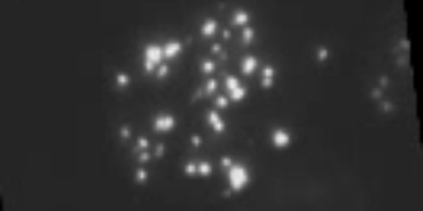 Frame from time-lapse video showing DNA repair activity in a cell
