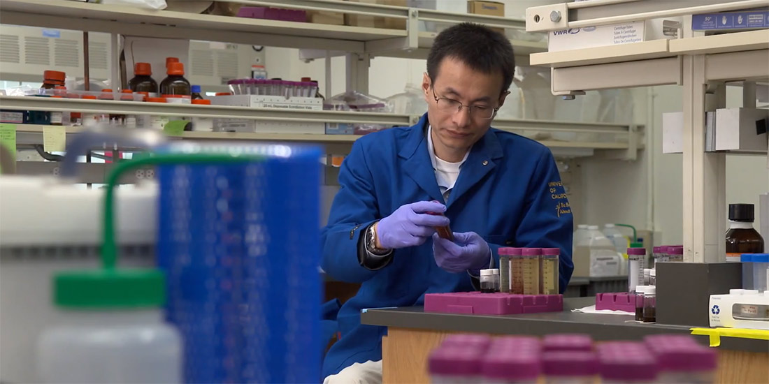 Peidong Yang in his lab