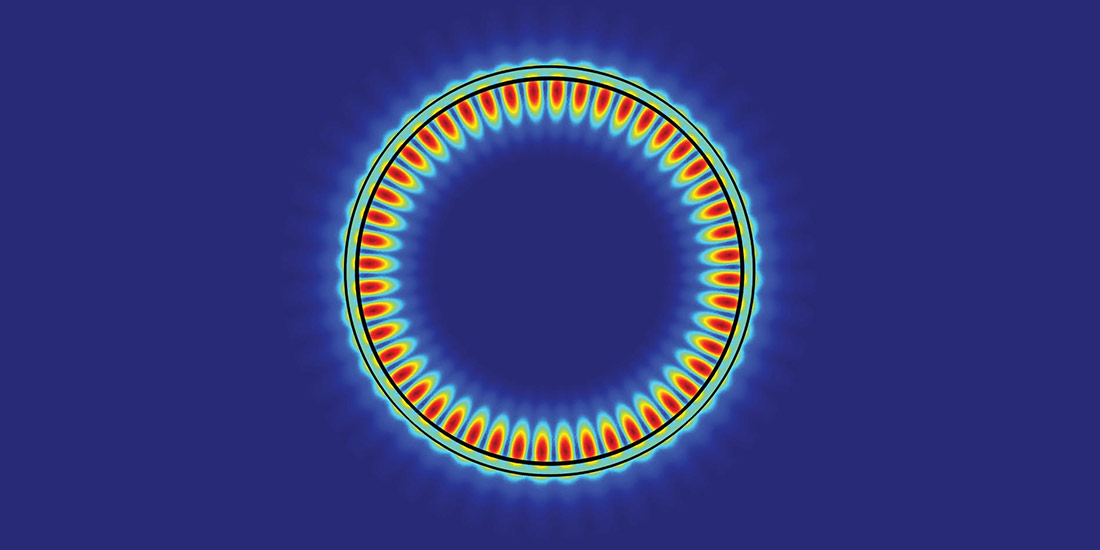 Electric field at the edges of a 2D excitonic laser resonator 