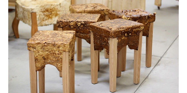 Mushroom-based stools