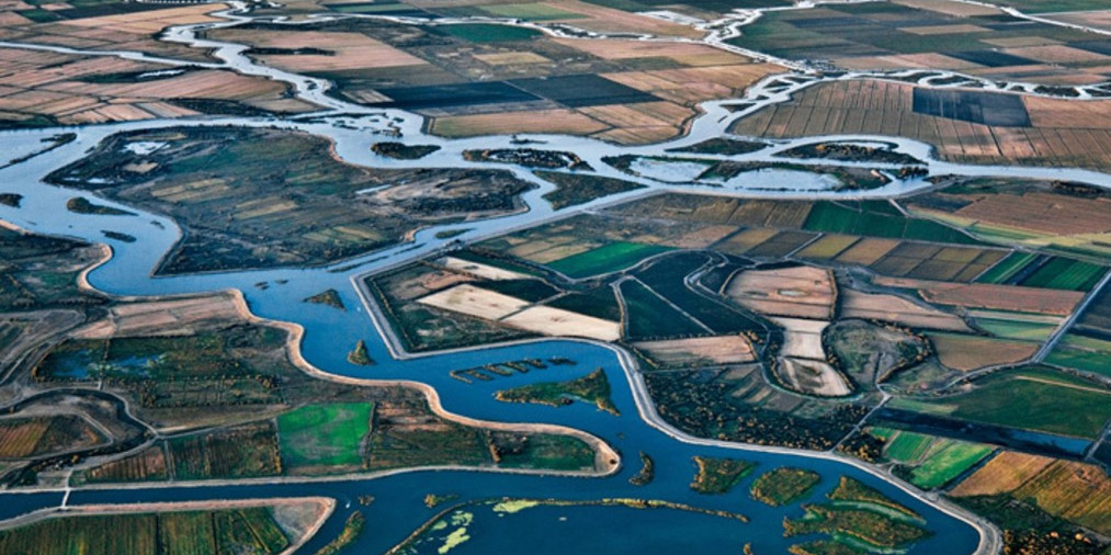 Water and farmland in the Delta
