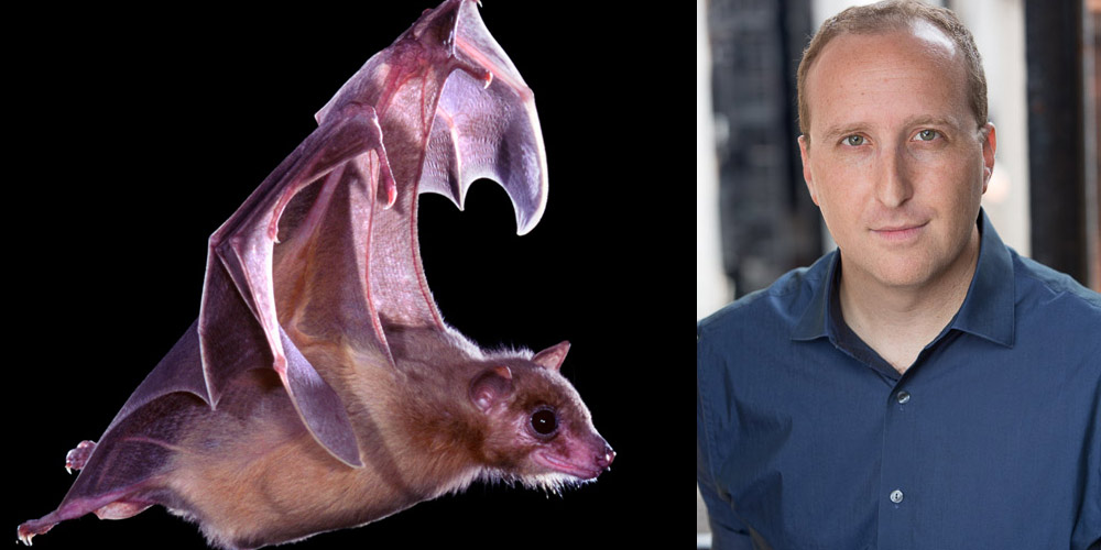 Michael Yartsev and a flying bat