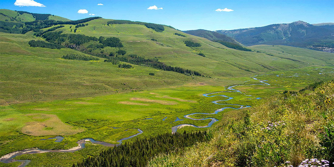 The mountainous headwaters of the East River catchment, located in the Upper Colorado River Basin