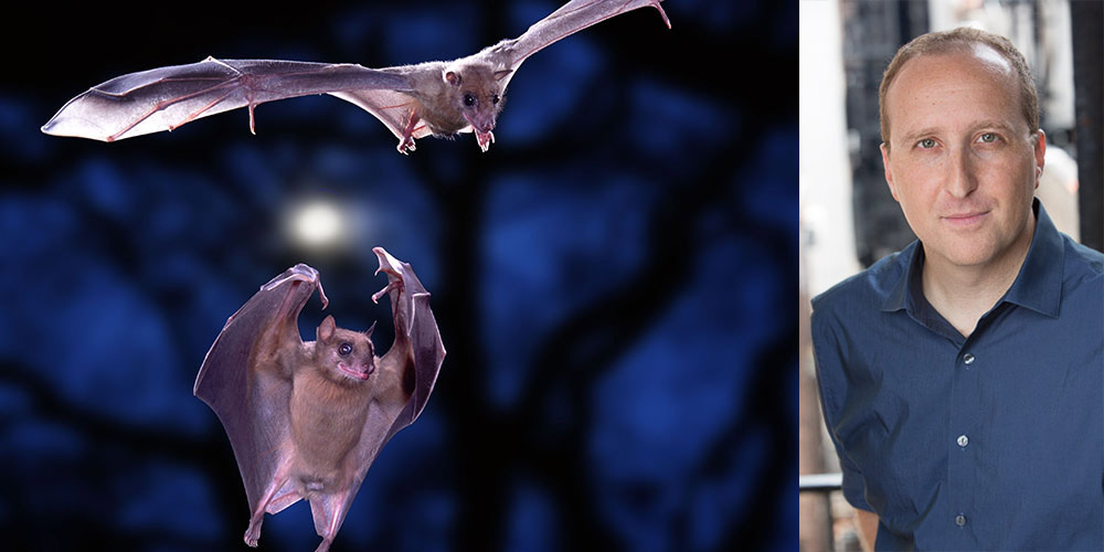 Michael Yartsev and Egyptian rousette bats