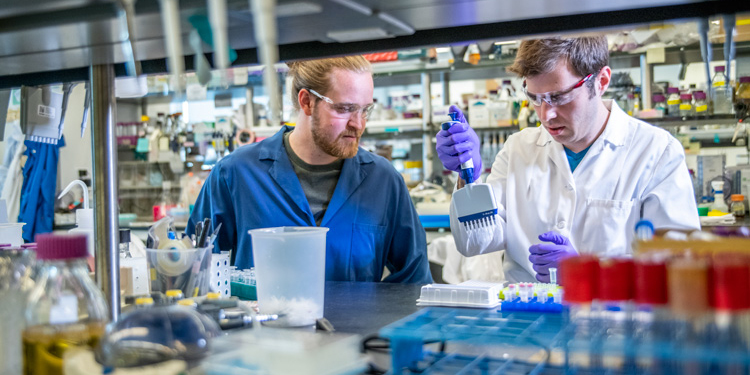 Sebastian Palluk and Daniel Arlow in a lab at the Joint BioEnergy Institute