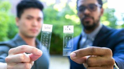 Bioengineering students with microfluidic cell slides