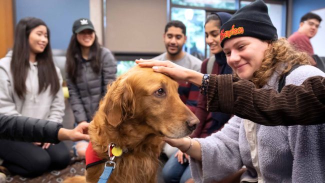 Students petting a dog
