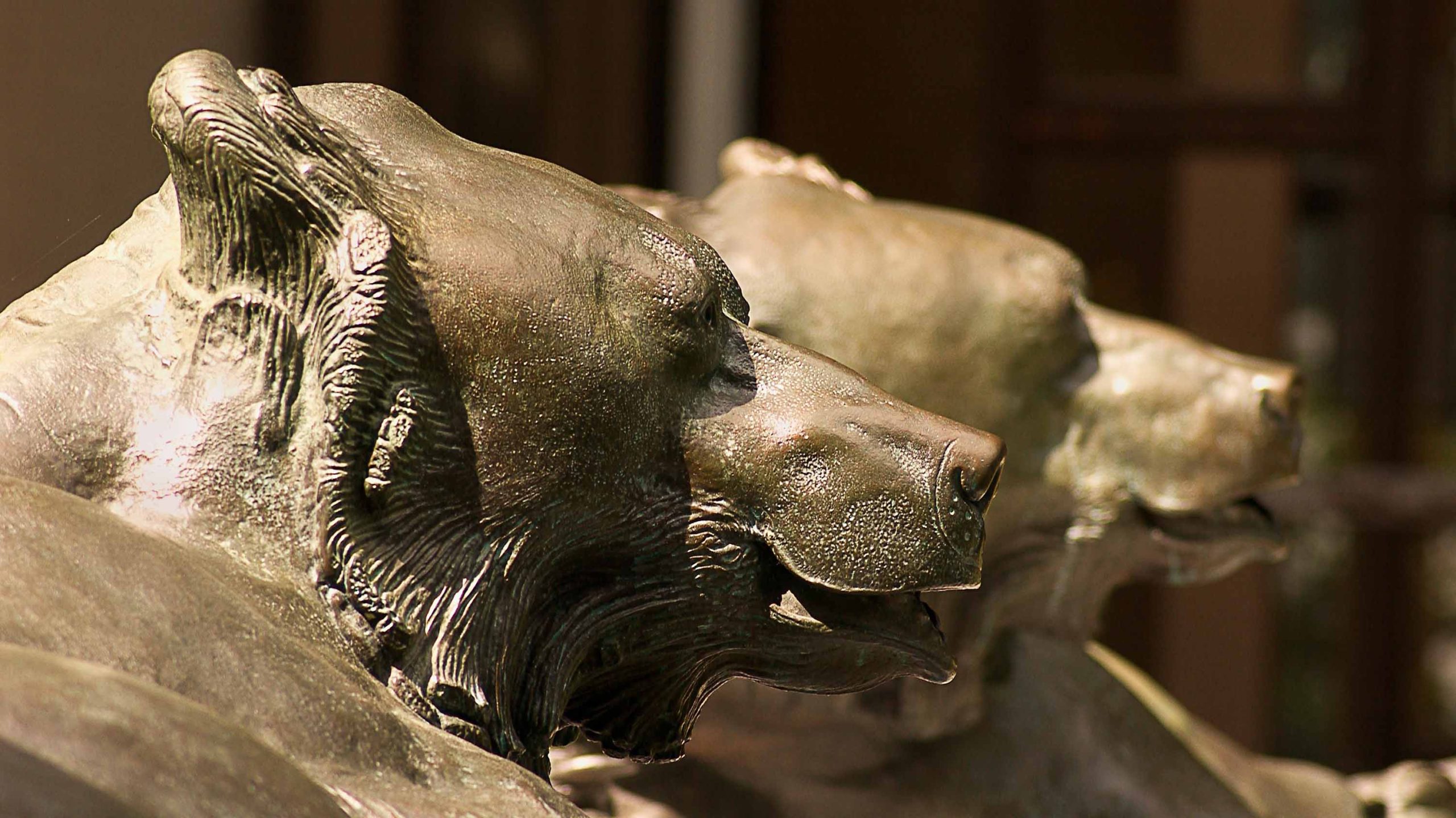 Macchi Bears sculpture
