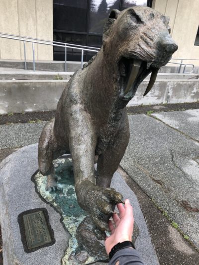 Smilodon statue at UC Berkeley