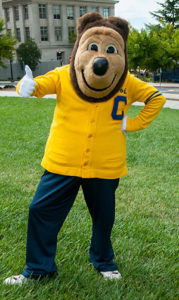 Oski giving a thumbs-up