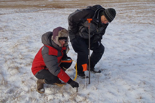 Hubbard measures soil temperature and active layer depth with NGEE-Arctic lead investigator Stan Wullschleger from Oak Ridge National Laboratory.