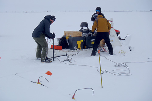 Researchers hit the ground with sledgehammers to produce and measure seismic waves, while a bear guard keeps watch.