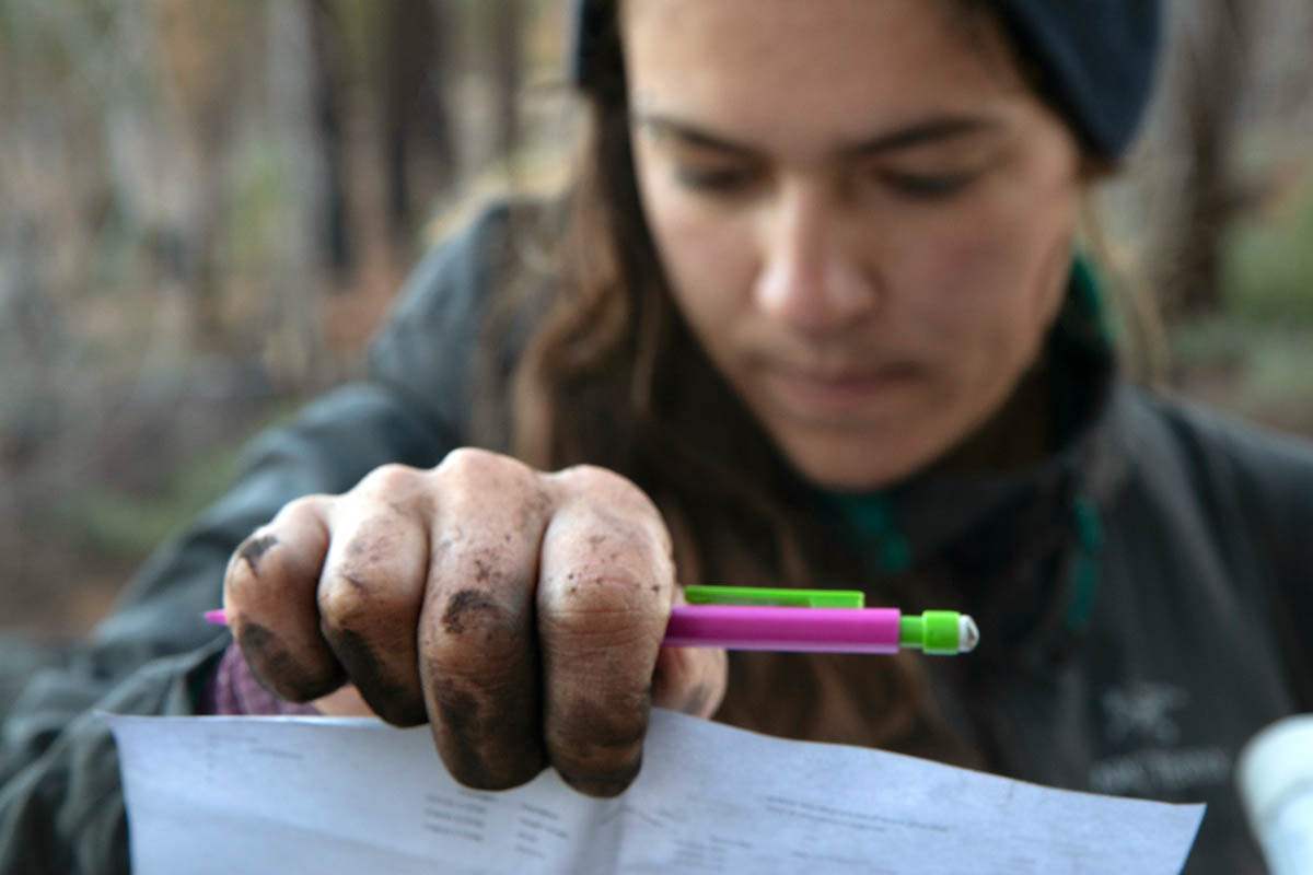 Grime covers graduate student Katya Rakhmatulina’s fingers as she collects data on the impact of wildfires in Yosemite National Park’s Illilouette Basin.
