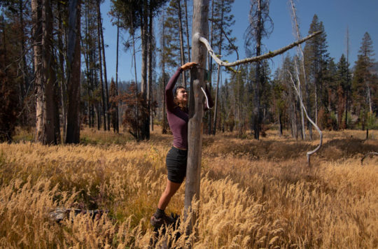Graduate student Katya Rakhmatulina straps a time-lapse camera to a tree overlooking a wetland in Yosemite National Park's Illilouette Creek Basin