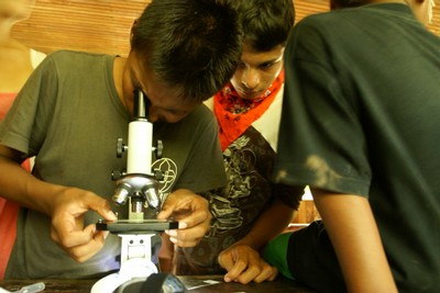Boys look at their water samples through the microscope