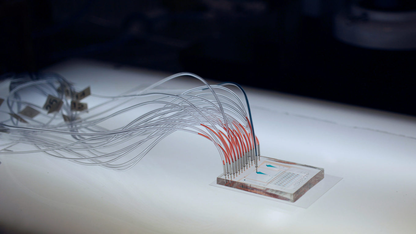 A microfluidic "chip" developed by the Streets lab for single cell analysis