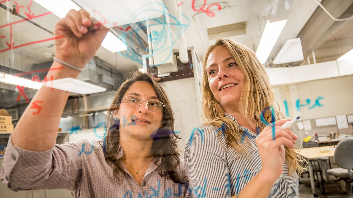 NSSC Executive Director Bethany Goldblum and NSSC Fellow Adriana Sweet writing on a glass board.