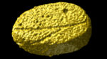 STEM tomography image of a 3D-grown 100-200-nanometer crystalline disc.