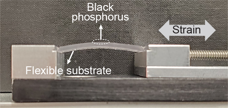 Black phosphorus layer being bent by strain
