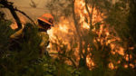 Firefighter in helmet amid wildfire flames.