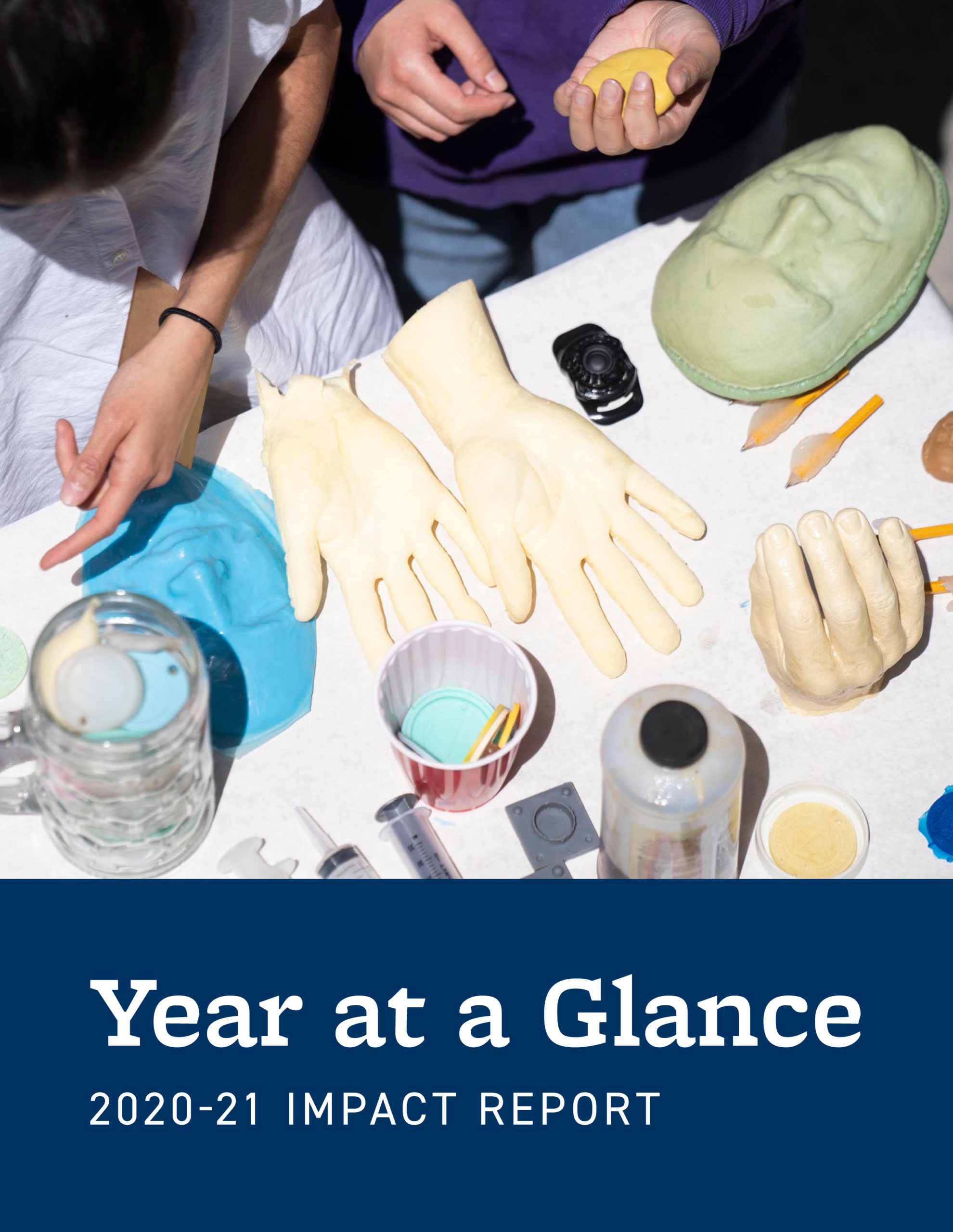 Year at a Glance 2020-21 Impact Report