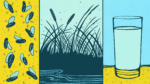 Illustration of water recycling, showing insects, wetland plants and glass of potable water
