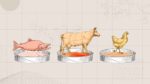 Old-style drawings of fish, cow and chicken above stylized petri dishes