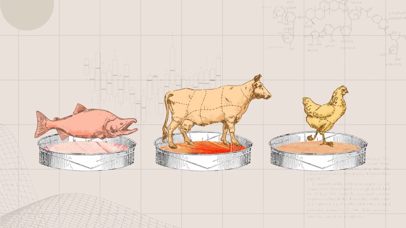 The future of meat - Berkeley Engineering