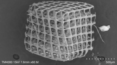 Scanning electron micrograph of cubic lattice with 20 micrometer lattice members