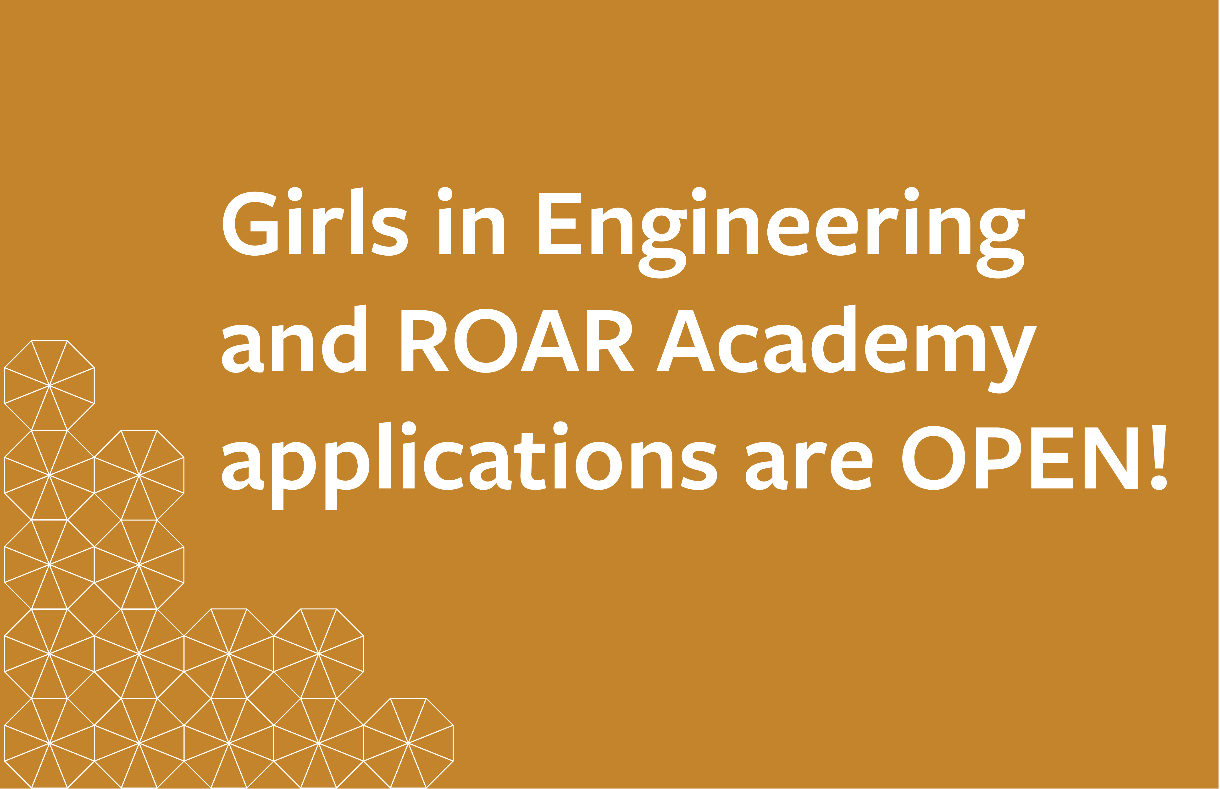 Girls in Engineering and ROAR Academy applications are OPEN!