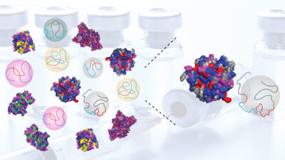 Image of heteropolymers designed to mimic the properties of natural proteins.