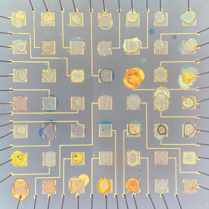 An array of light-emitting devices with 49 different, individually addressable colors.