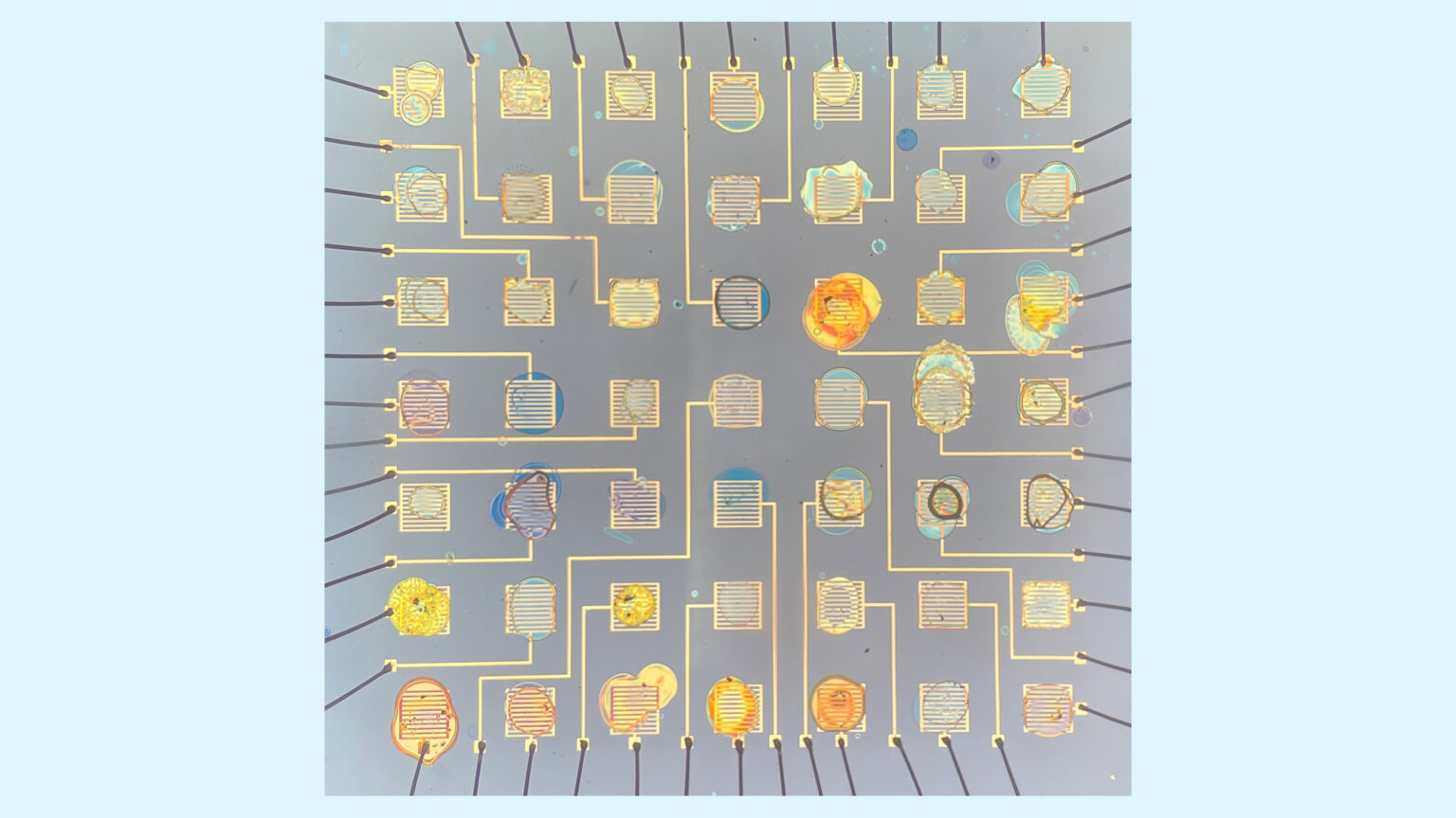 Image of an array of light-emitting devices with 49 different, individually addressable colors.