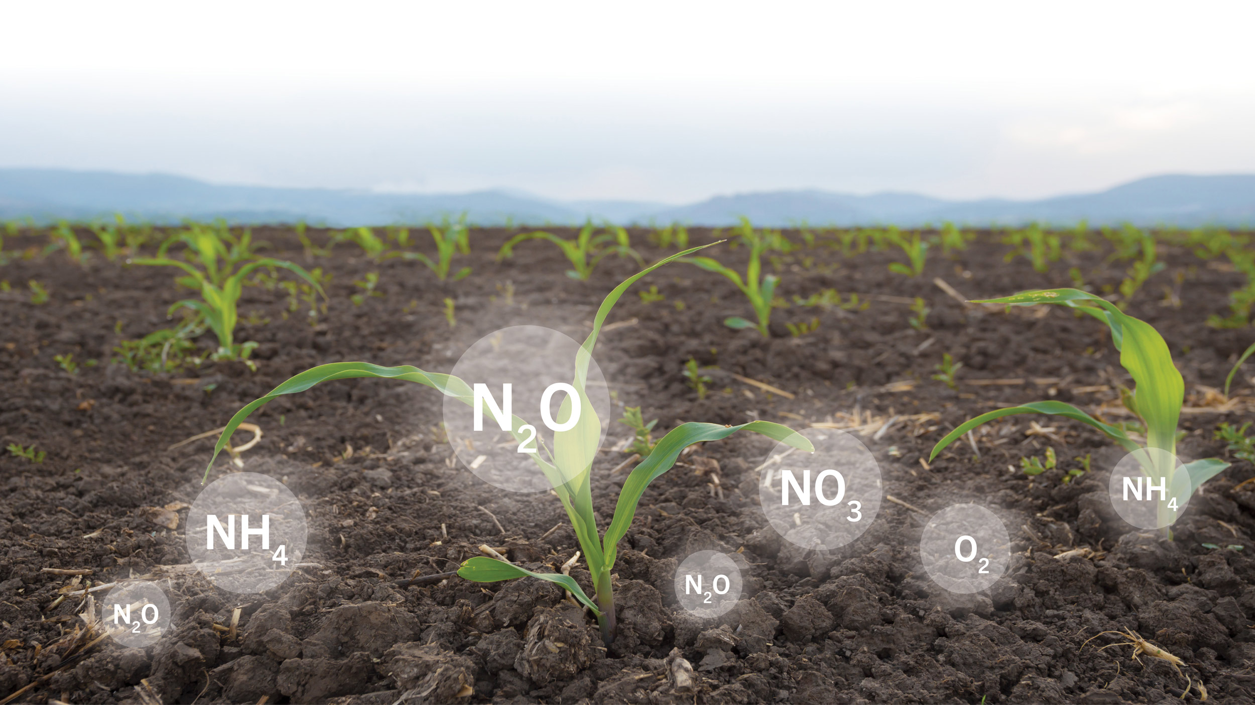 Photo illustration of how stake-based sensors could measure gases in the soil