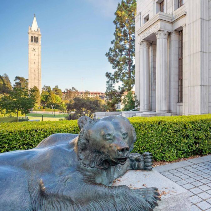 A view of a Macchi Bear statue in front of McLaughlin Hall and the Campanile.