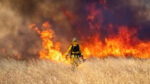 A firefighter standing in front of a grassfire.