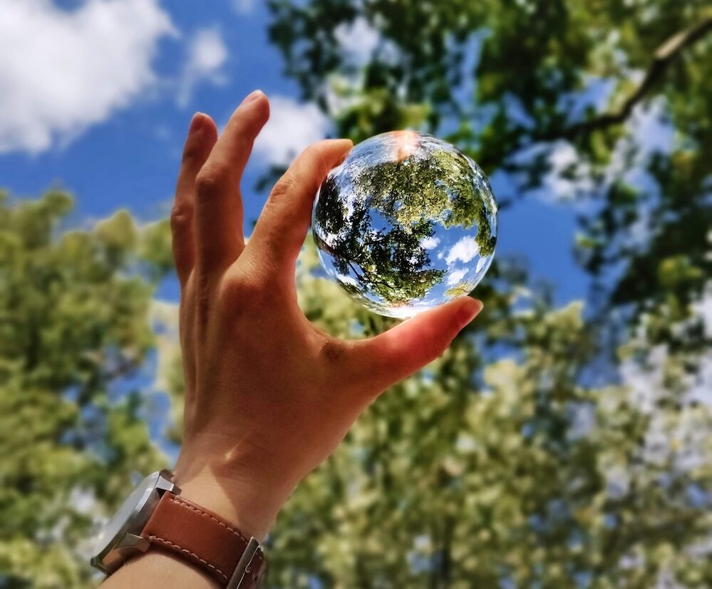 person holding clear glass ball up to the sky with trees above