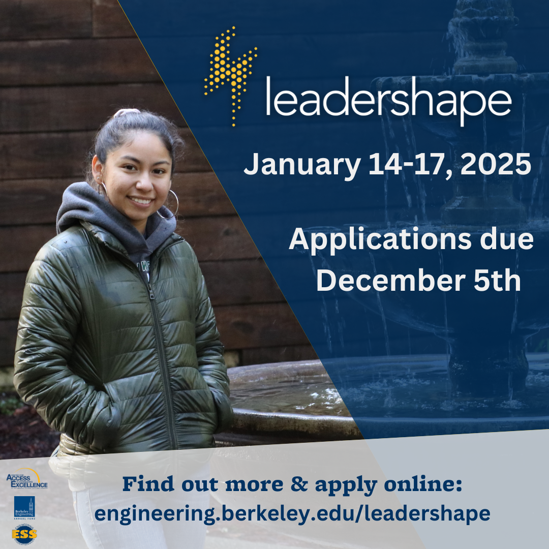 LeaderShape 2025