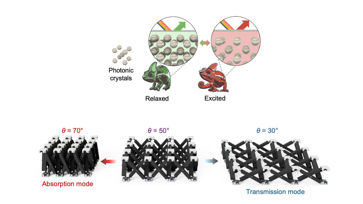 Image illustrating the chameleon’s color-altering mechanism (above) and the bioinspired tunable metamaterial microwave absorber (below).