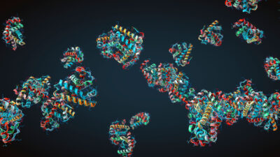 Illustration of proteins.
