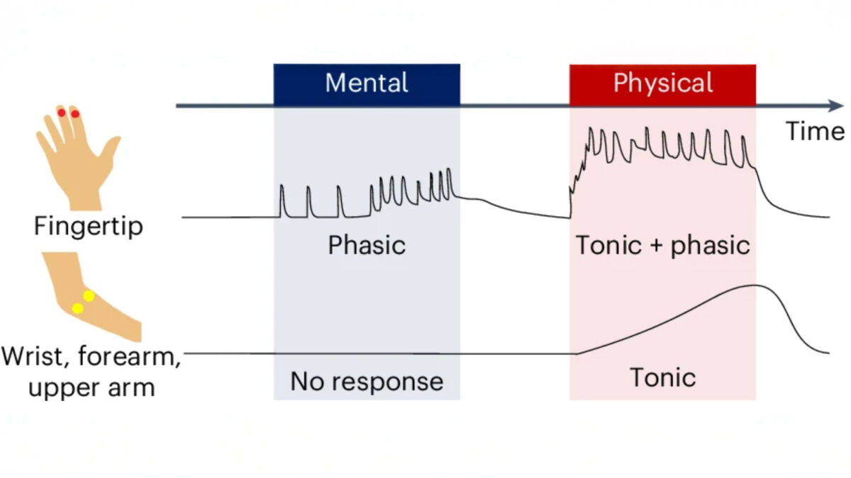 Illustration shows the way electrodermal activity (EDA) responses vary across body locations and activity types, helping to explain how mental and physical activities can be distinguished using EDA.