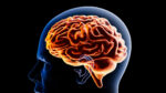 Conceptual image of a brain inside a human head.