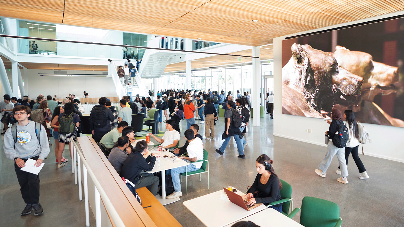 crowd of students in the lower level of a building