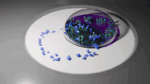 Illustration showing a ring of disease biomarkers, interacting with a droplet of liquid that contains plasmonic nanoparticles